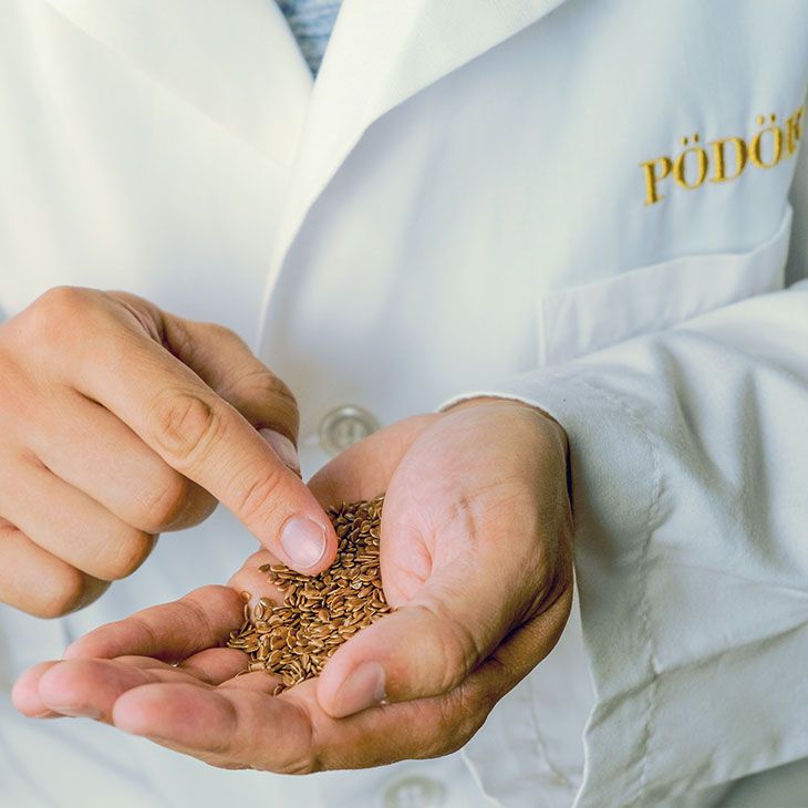 Bio lenmagolaj - hidegen sajtolt