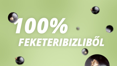 Feketeribizli gyümölcsecet Feketeribizli gyümölcsecet