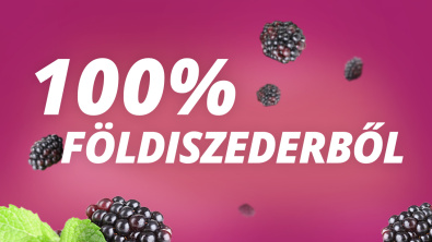 Földiszeder gyümölcsecet Földiszeder gyümölcsecet