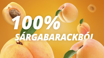Sárgabarack gyümölcsecet Sárgabarack gyümölcsecet